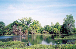 Snag Lake